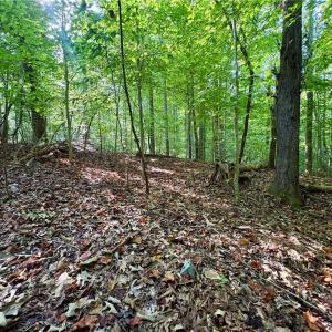 Photo #9 of 8101 Deverow, Lewisville, NC 1.5 acres