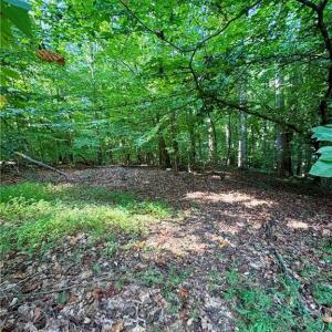 Photo #14 of 8101 Deverow, Lewisville, NC 1.5 acres