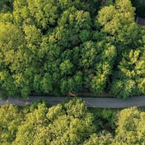 Photo #18 of 8101 Deverow, Lewisville, NC 1.5 acres