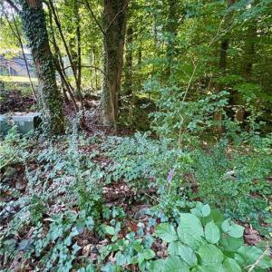 Photo #15 of 8101 Deverow, Lewisville, NC 1.5 acres