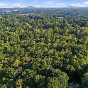 Photo #19 of 8101 Deverow, Lewisville, NC 1.5 acres
