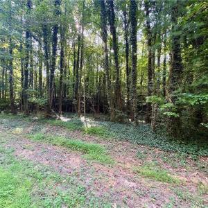 Photo #4 of 8101 Deverow, Lewisville, NC 1.5 acres