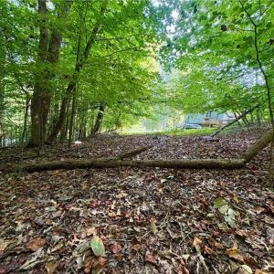 Photo #8 of 8101 Deverow, Lewisville, NC 1.5 acres