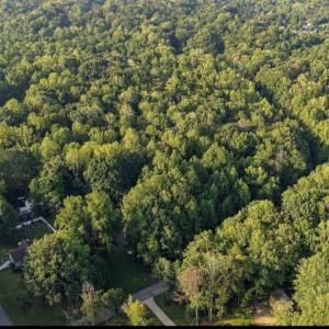 Photo #21 of 8101 Deverow, Lewisville, NC 1.5 acres