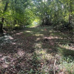 Photo #2 of Oliver, Ramseur, NC 4.7 acres