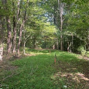 Photo #3 of Oliver, Ramseur, NC 4.7 acres