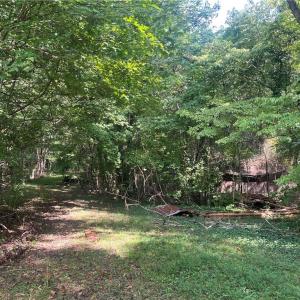 Photo #4 of Oliver, Ramseur, NC 4.7 acres