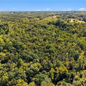 Photo #20 of 633 Hancock, Reidsville, NC 17.9 acres