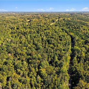 Photo #18 of 633 Hancock, Reidsville, NC 17.9 acres