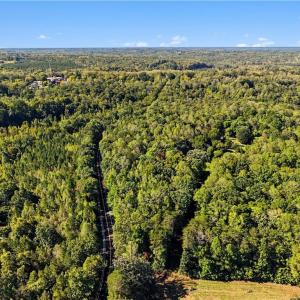Photo #21 of 633 Hancock, Reidsville, NC 17.9 acres