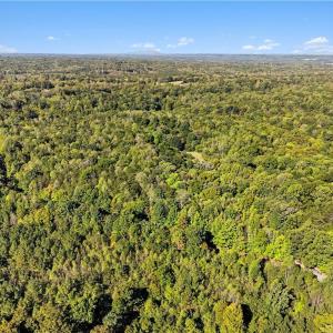 Photo #17 of 633 Hancock, Reidsville, NC 17.9 acres