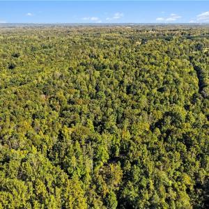 Photo #19 of 633 Hancock, Reidsville, NC 17.9 acres