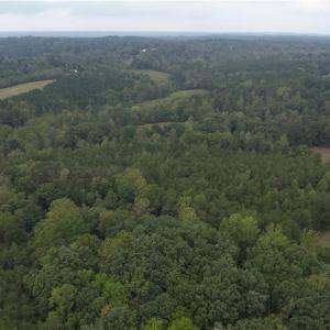 Photo #13 of 550 Van Buren, Stoneville, NC 59.2 acres