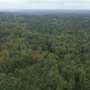 Photo #12 of 550 Van Buren, Stoneville, NC 59.2 acres
