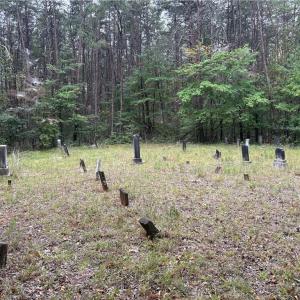 Photo #26 of 550 Van Buren, Stoneville, NC 59.2 acres