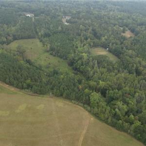 Photo #7 of 550 Van Buren, Stoneville, NC 59.2 acres