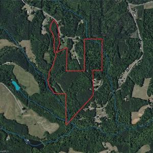 Photo #1 of 550 Van Buren, Stoneville, NC 59.2 acres