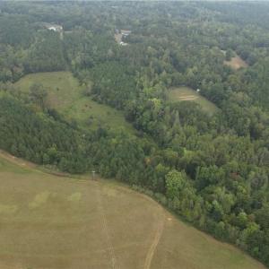 Photo #5 of 550 Van Buren, Stoneville, NC 59.2 acres
