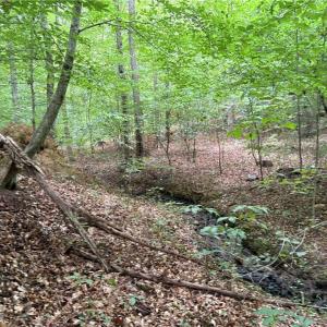 Photo #20 of 550 Van Buren, Stoneville, NC 59.2 acres