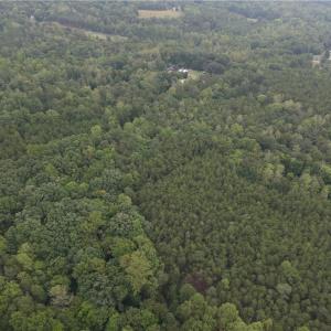 Photo #9 of 550 Van Buren, Stoneville, NC 59.2 acres
