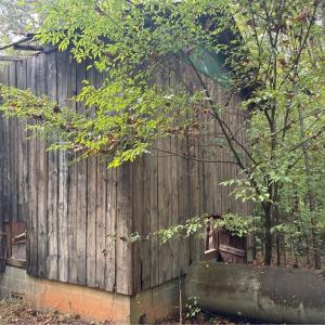 Photo #24 of 550 Van Buren, Stoneville, NC 59.2 acres
