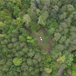 Photo #15 of 550 Van Buren, Stoneville, NC 59.2 acres