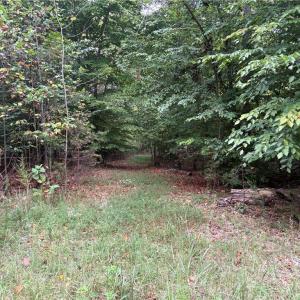 Photo #19 of 550 Van Buren, Stoneville, NC 59.2 acres