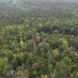 Photo #4 of 550 Van Buren, Stoneville, NC 59.2 acres