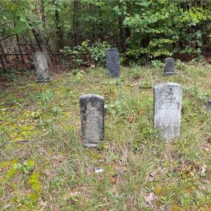 Photo #25 of 550 Van Buren, Stoneville, NC 59.2 acres