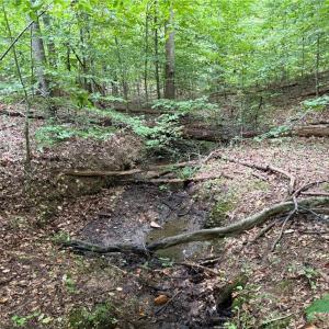 Photo #21 of 550 Van Buren, Stoneville, NC 59.2 acres
