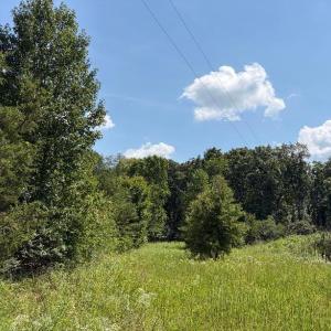 Stack.easement.grass.road