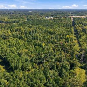 Photo #13 of 4416 McConnell, McLeansville, NC 60.6 acres