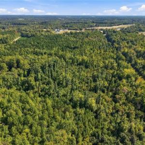 Photo #12 of 4416 McConnell, McLeansville, NC 60.6 acres