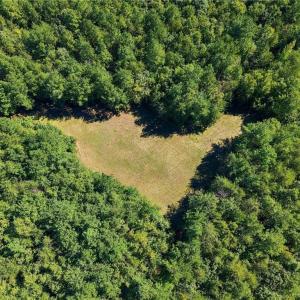 Photo #9 of 4416 McConnell, McLeansville, NC 60.6 acres