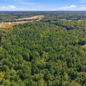 Photo #10 of 4416 McConnell, McLeansville, NC 60.6 acres