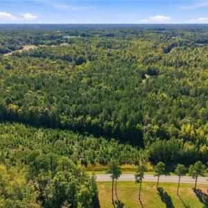 Photo #11 of 4416 McConnell, McLeansville, NC 60.6 acres