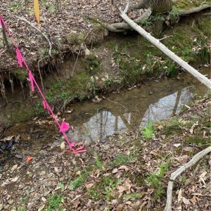 Photo #3 of Jess Smith, Sophia, NC 2.8 acres