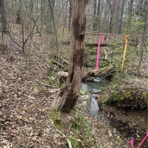 Photo #5 of Jess Smith, Sophia, NC 2.8 acres