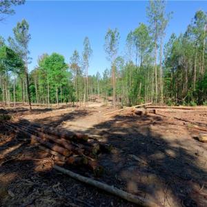 Photo #7 of Carson, Cleveland, NC 9.7 acres