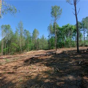 Photo #3 of Carson, Cleveland, NC 9.7 acres