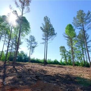 Photo #5 of Carson, Cleveland, NC 9.7 acres