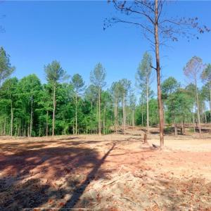 Photo #4 of Carson, Cleveland, NC 9.7 acres