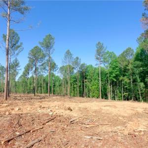 Photo #5 of Carson, Cleveland, NC 10.1 acres