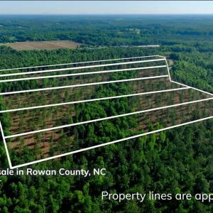 Photo #9 of Carson, Cleveland, NC 10.1 acres