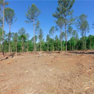 Photo #4 of Carson, Cleveland, NC 10.1 acres