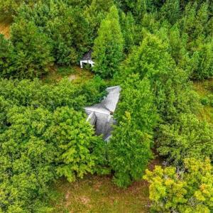 Photo #16 of 3406 US Highway 220, Madison, NC 8.5 acres