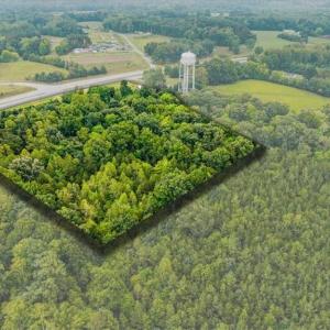 Photo #3 of 3406 US Highway 220, Madison, NC 8.5 acres