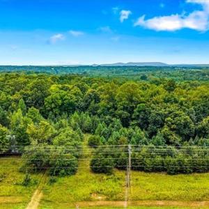 Photo #5 of 3406 US Highway 220, Madison, NC 8.5 acres