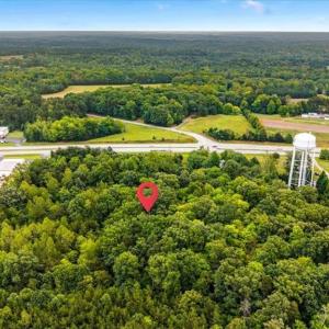 Photo #14 of 3406 US Highway 220, Madison, NC 8.5 acres