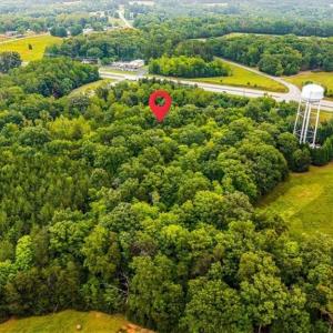 Photo #8 of 3406 US Highway 220, Madison, NC 8.5 acres